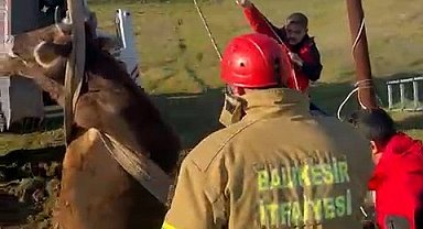 Balıkesir'de kuyuya düşen inek kurtarıldı