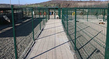 BARÜ'de kampüsteki hayvanlar için yaşam merkezi oluşturuldu