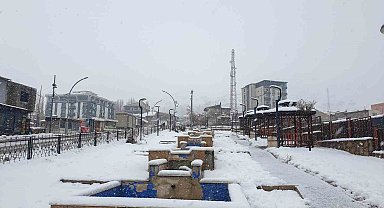 Başkale'de kar kalınlığı 20 santimetreyi geçti