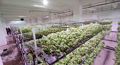 Batman'a eksi birinci katta 30 milyonluk "dikey tarım" yatırımı