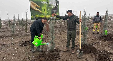 Baybatur'dan yanan orman alanlarına bin fidan