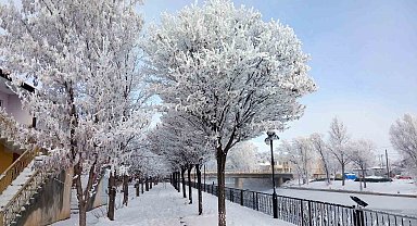 Bayburt'un Arpalı Beldesi güne kar yağışıyla uyandı