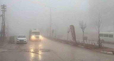 Besni'de yoğun sis etkili oldu
