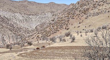 Bestler Dereler bölgesine 30 yıl sonra ilk kez yollar açılıyor