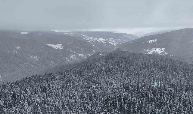 Beyaza bürünen Ilgaz Dağı havadan görüntülendi