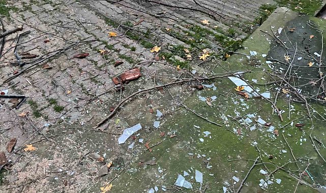 Beyoğlu'nda ağacın kırılan dalları binanın üzerine düştü