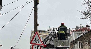 Beyşehir'de itfaiye merdiveni bu kez direğin tepesindeki kedi için uzatıldı