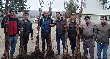 Bilecik Pazaryeri'nde meyveciliğe güçlü destek