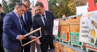 Bilecik'te bu yıl 126 bin 524 kilogram bal üretildi