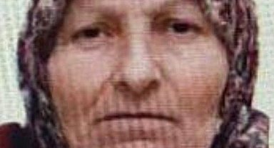 Bilecik'te kaybolan yaşlı kadını jandarma buldu