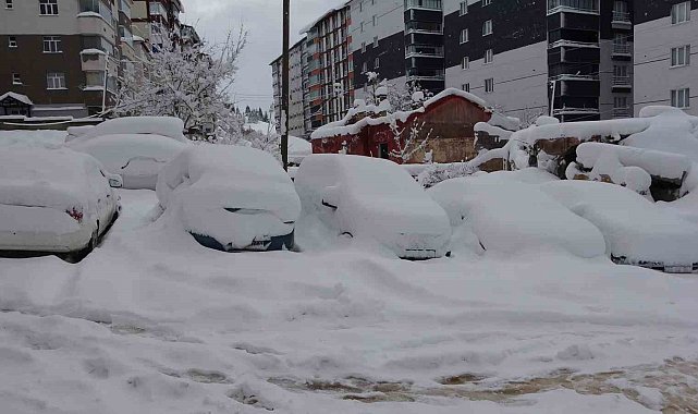 Bitlis'te arabalar ve tek katlı evler kara gömüldü