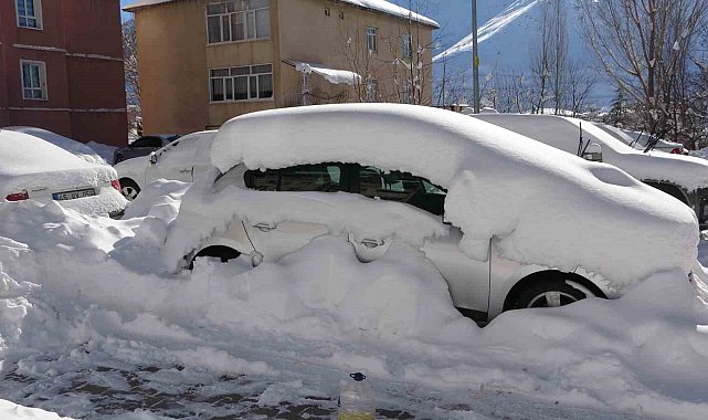 Bitlis'te kar esareti: 181 köy yolu ulaşıma kapandı
