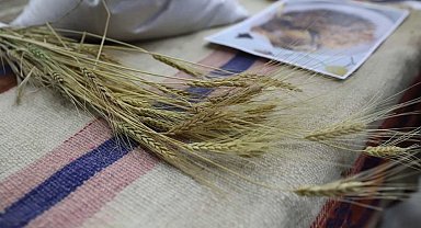 Bölgenin değeri: Ardahan Kavılcası