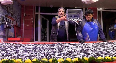 Bolu'da hamsinin kilosu 150 liraya düştü