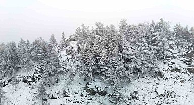 Bolu'nun yükseklerinde kar yağışı etkili oluyor