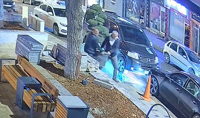 Bu da ağaç hırsızlığı: Parktaki ağacı araçla çaldılar