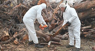 Budanan ağaç dalları ihtiyaç sahiplerini ısıtıyor