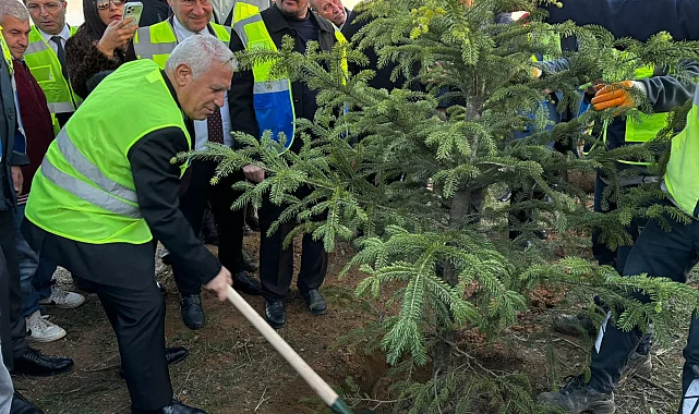 Bursa Büyükşehir'den 15 bin fidanlı 'Hatıra Ormanı'