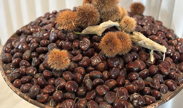 'Bursa Kestanesi'nin geleceği masaya yatırıldı