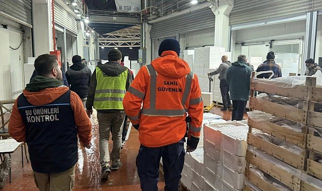 Bursa'da balık halinde gece operasyonu...615 kilo istavrite el konuldu