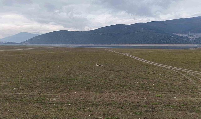 Bursa'da bir göl daha yok oluyor...