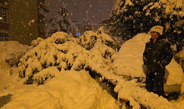 Çam ağacı park halindeki iki aracın üzerine devrildi