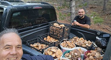 Çameli'de cintar bereketi