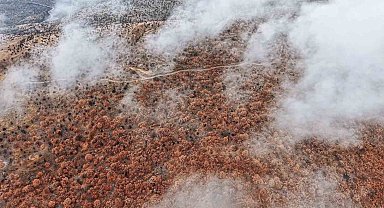 Çankırı'da sis ve kızıla bürünen ormanların buluşması mest etti