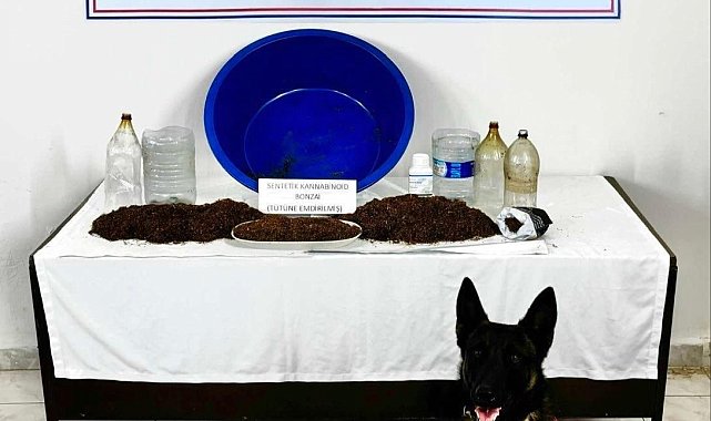 Çankırı'da uyuşturucu operasyonu: 1 gözaltı
