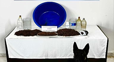 Çankırı'da uyuşturucu operasyonu: 1 gözaltı