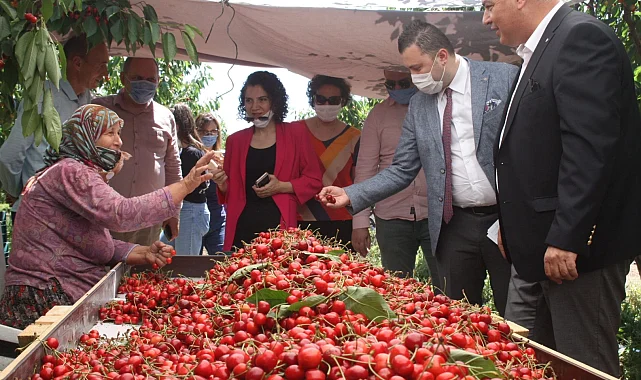 Çeribaşı Kirazı'na coğrafi işaret tescili