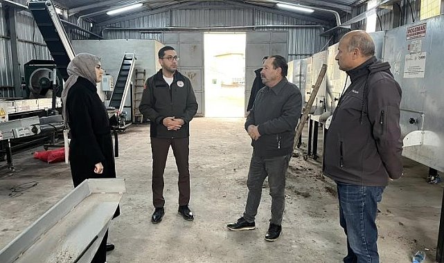 Ceviziyle öne çıkan Gölpazarı'nda üretim zinciri güçleniyor