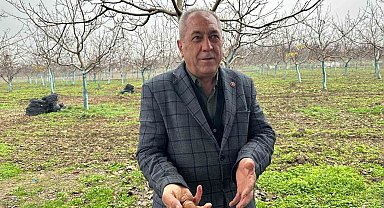 Cevizle yaşam şartları değişen köyde İstanbullular da bahçe kuruyor