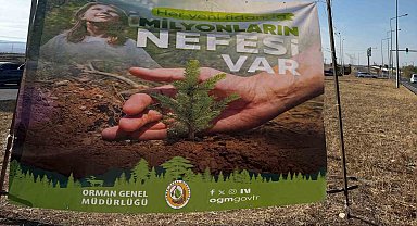 Cizre'de havalimanı yolu 450 fidan ile yeşilleniyor