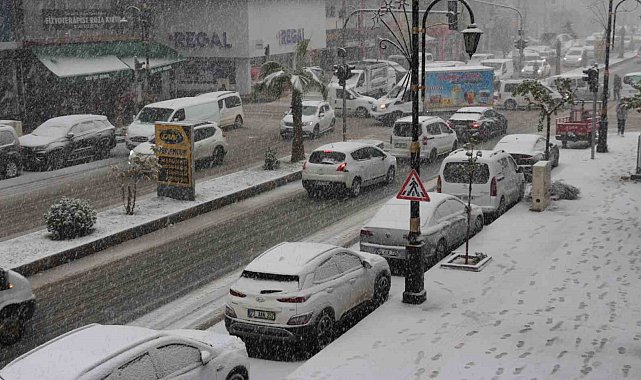 Cizre'de kar yağışı hava ve kara ulaşımını felç etti