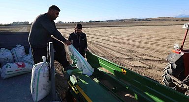 Çukurova'da buğday ekimi başladı