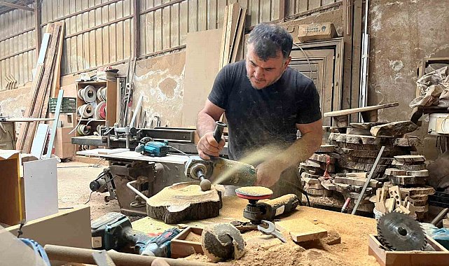 Çürümüş zeytin ağaçlarını sanat eserine dönüştürüyor