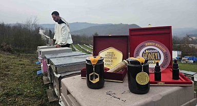 Dededen gelen arıcılığı profesyonelleştirdi, ürettiği bal dünyada zirveye çıktı