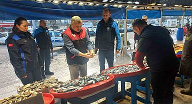 Denetim geldi, gerçek ortaya çıktı: Tezgahtaki balık "kolyoz" çıktı