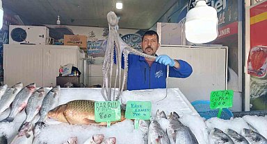 Denize kıyısı olmayan Kahramanmaraş'ta balığa yoğun ilgi