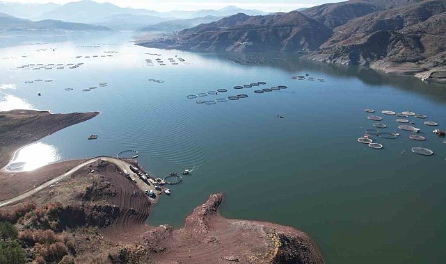 Denizi olmayan Tokat'ın somonları dünya sofralarına ulaşıyor
