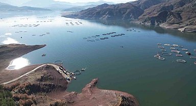 Denizi olmayan Tokat'ın somonları dünya sofralarına ulaşıyor