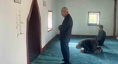 Diyarbakır'da bir caminin mihrap kısmındaki duvardan çıkan bitkinin yaprakları yeşerdi