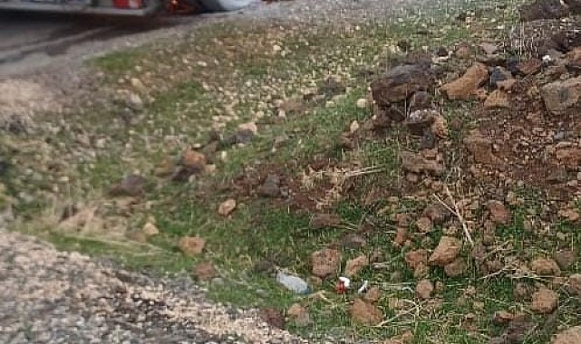 Diyarbakır'da seyir halindeki tır alev aldı