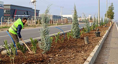 Diyarbakır'ın 14 kilometrelik girişi ağaçlandırılıyor