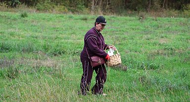 Doğaseverler Ormanya'nın zengin biyolojik çeşitliliğini keşfetti