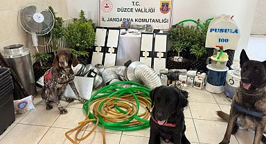 Düzce'de uyuşturucu operasyonu: 1 gözaltı