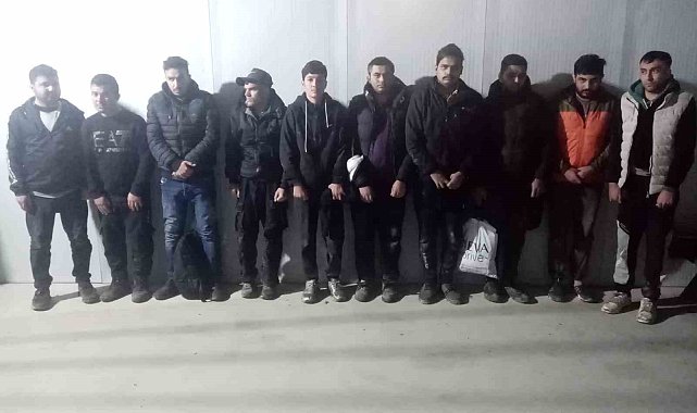 Edirne'de 20 kaçak göçmen sınırda yakalandı