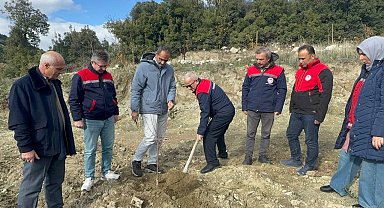 Eğirdir Gölü'ndeki kuraklık tarımda yön değiştirdi