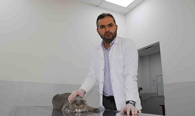 Ekmek kavgası bitti, kedi ve köpekler dost oldu